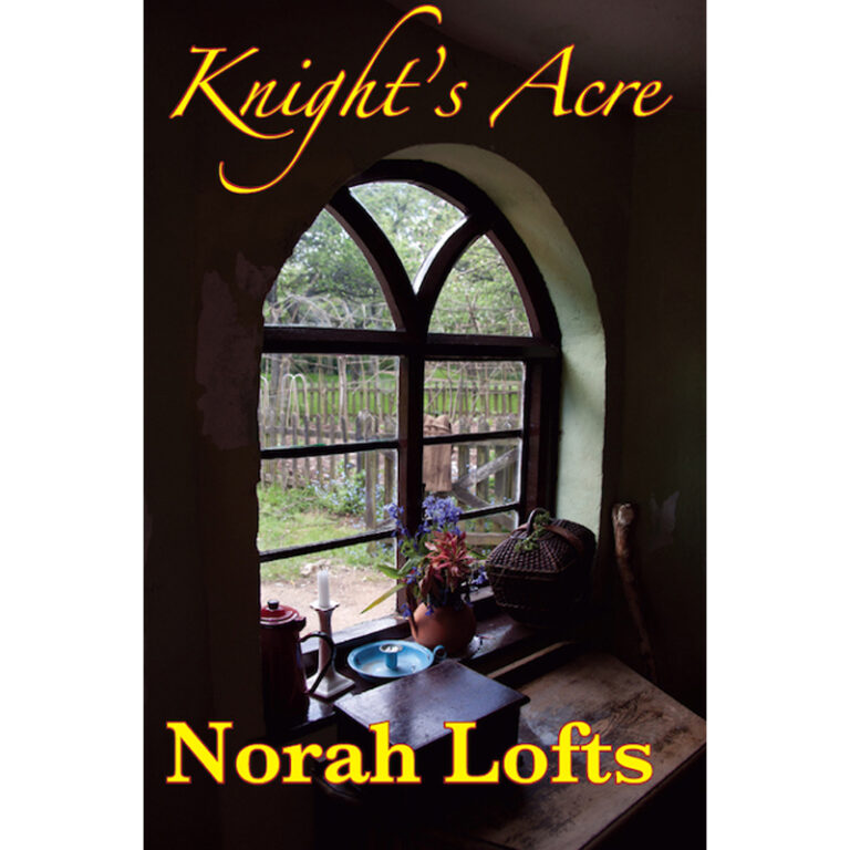 White Hell of Pity by Norah Lofts